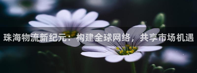 ,优游国际初始密码在哪里修改：珠海物