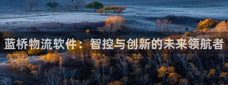 加拿大,优游国际数字规则：蓝桥物流软