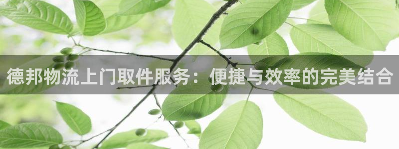 加拿大,优游国际是什么：德邦物流上门