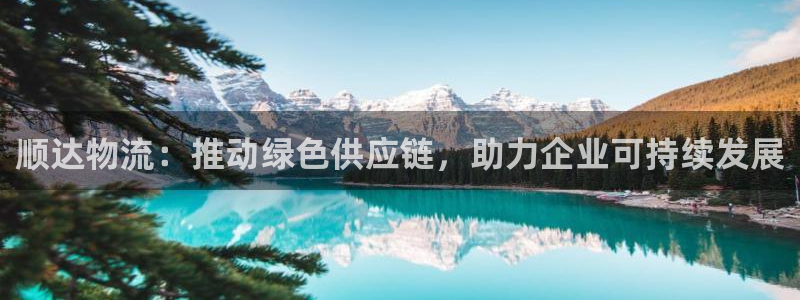 ,优游国际注册链接入口：顺达物流：推