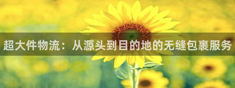 ,优游国际麻将胡了：超大件物流：从源