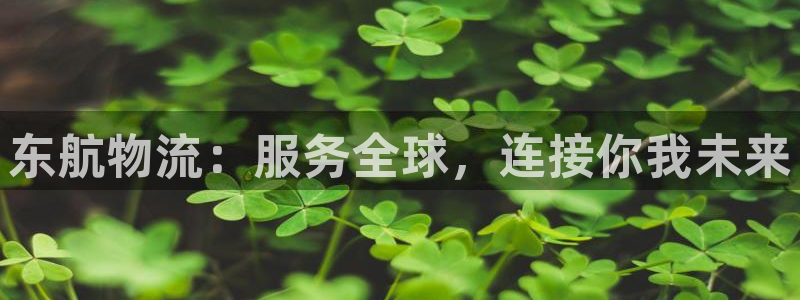 ,优游国际注册平台：东航物流：服务全