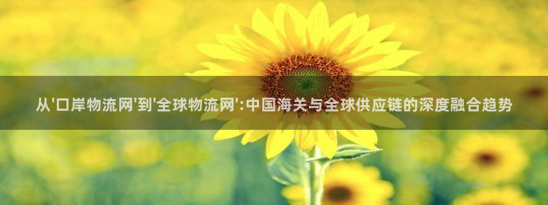 ,优游国际加拿大下载：从\'口岸物流