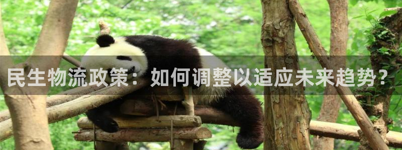 ,优游国际电子游戏：民生物流政策：如