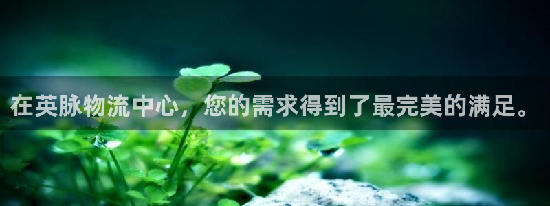 ,优游国际注册号：在英脉物流中心，您