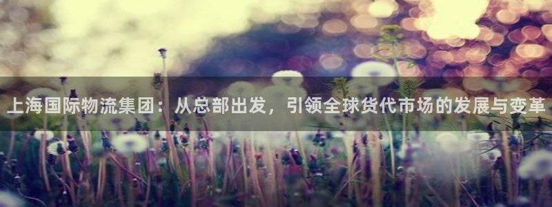 ,优游国际提款一直没到：上海国际物流