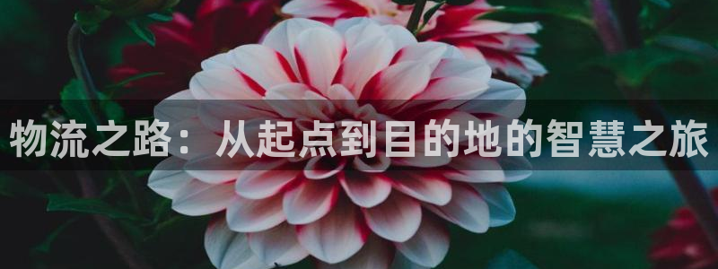 ,优游国际新用户怎么注册：物流之路：