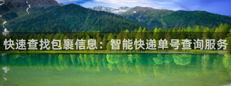 ,优游国际登陆网：快速查找包裹信息：