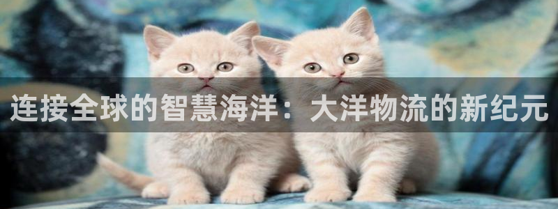 ,优游国际如何退款：连接全球的智慧海