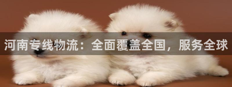 ,优游国际反水怎么算：河南专线物流：