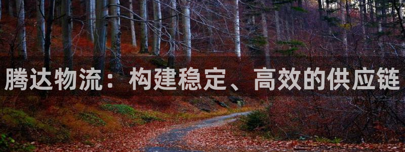 ,优游国际绿骨头：腾达物流：构建稳定