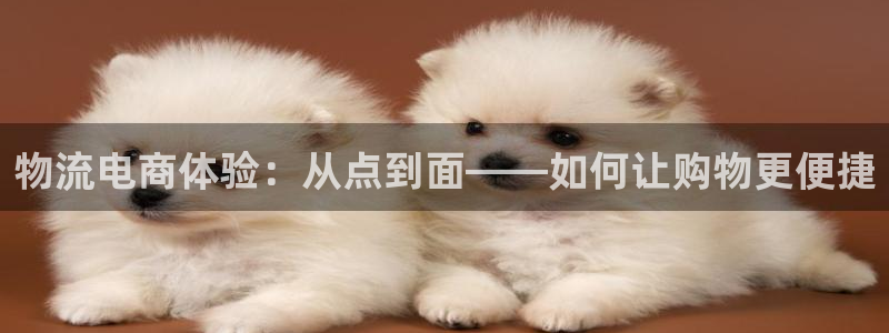 ,优游国际相信品牌的力量:物流电商体