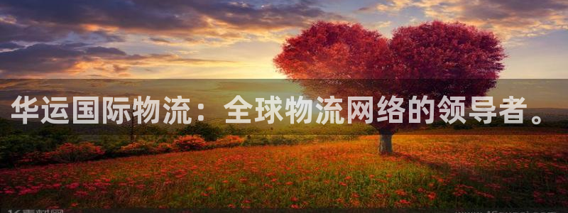 ,优游国际注册限制怎么解除:华运国际