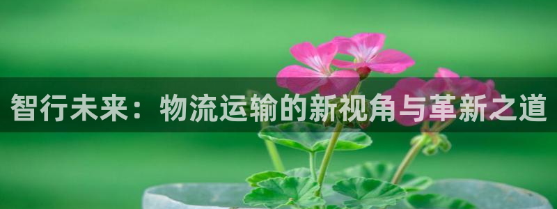 ,优游国际网站怎么注册：智行未来：物