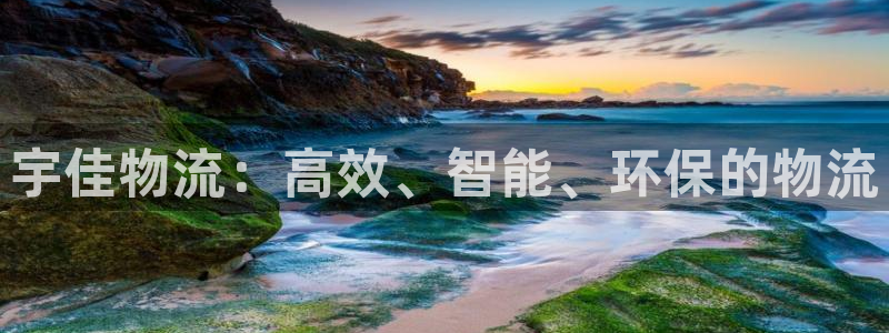 ,优游国际aPP退款：宇佳物流：高效