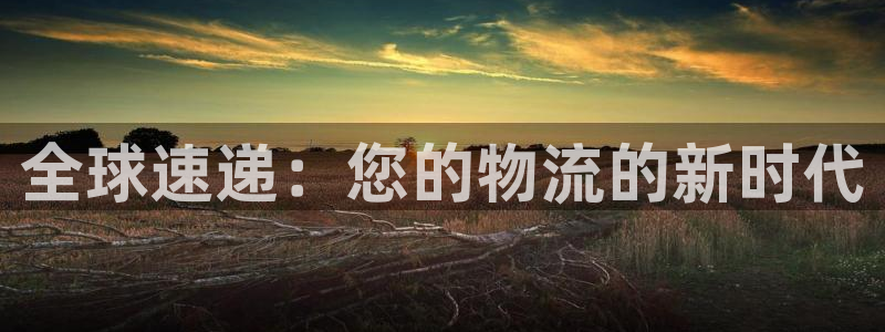 ,优游国际最稳打法：全球速递：您的物