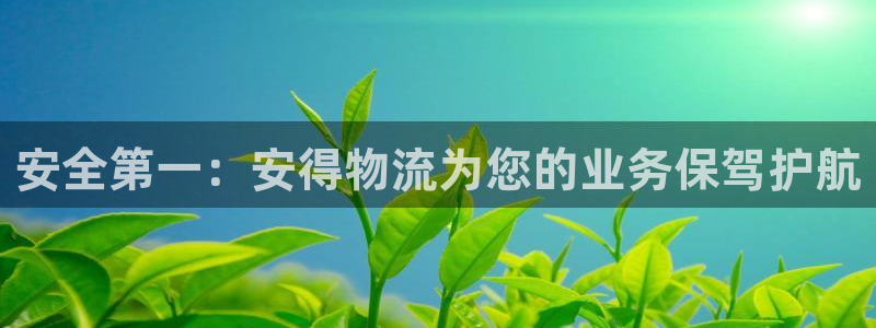 自行车,优游国际是什么意思