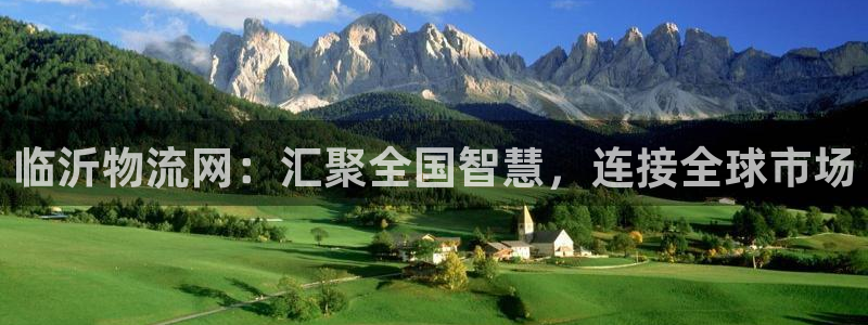 ,优游国际电子游戏：临沂物流网：汇聚