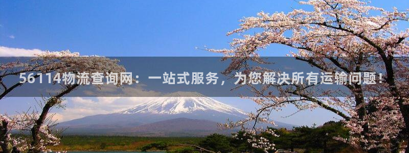 优游国际官网入口南宫