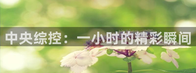 9255tv直播无插件nba
