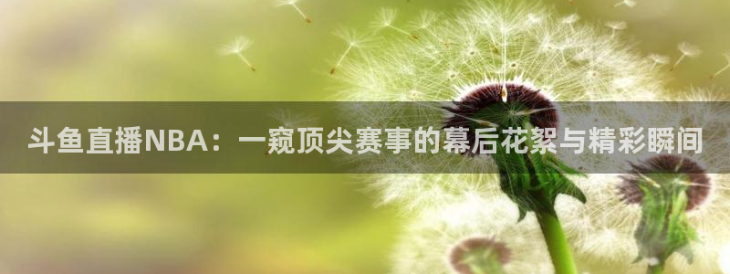 9255tv直播无插件nba
