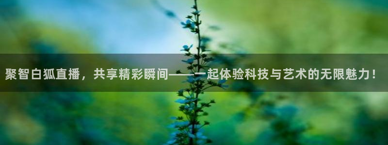 9255tv直播无插件nba