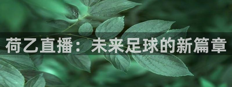 9255tv直播nba在线直播