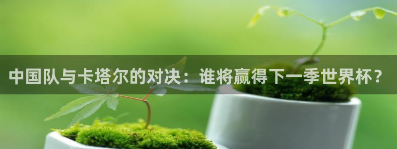 9255tv直播无插件nba：中国队与卡塔尔的对决：谁将赢得下一季世界杯？