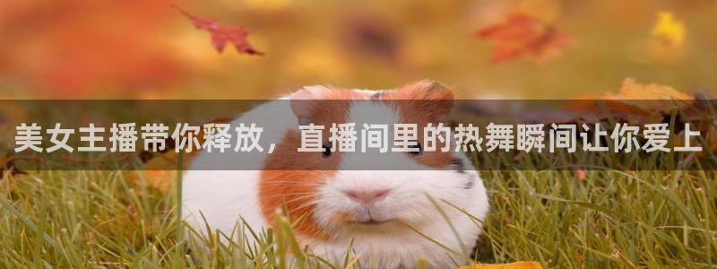9255tv直播nba在线观看：美女主播带你释放，直播间里的热舞瞬间让你爱上