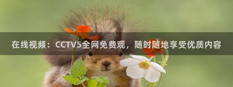 9255tv直播nba在线观看：在线视频：CCTV5全网免费观，随时随地享受优质内容