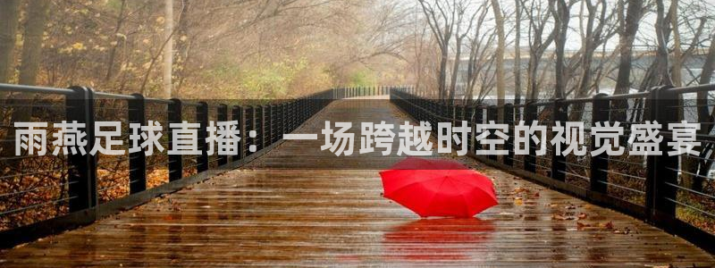9255tv直播无插件nba：雨燕足球直播：一场跨越时空的视觉盛宴