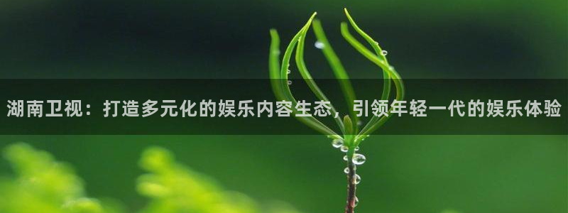 9255tv直播nba在线直播：湖南卫视：打造多元化的娱乐内容生态，引领年轻一代的娱乐体验